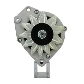Alternateur BV PSH 205.013.090.010