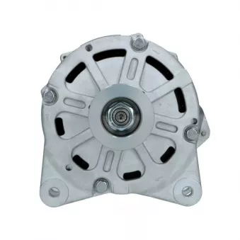 Alternateur BV PSH 205.408.190.088