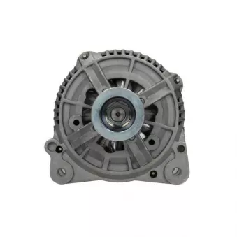 Alternateur BV PSH 205.504.120.010