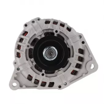 Alternateur BV PSH 205.512.120.008