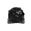 Alternateur BV PSH 205.555.150.280 - Visuel 3