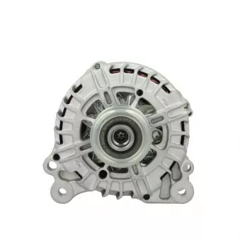 Alternateur BV PSH 205.560.140.004