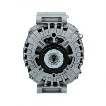 Alternateur BV PSH 205.566.180.008