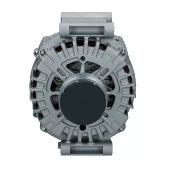 Alternateur BV PSH 205.576.180.008