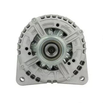 Alternateur BV PSH 205.579.180.014