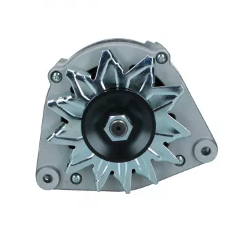 Alternateur BV PSH 215.014.090.018