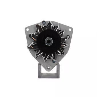 Alternateur BV PSH 215.025.055.090