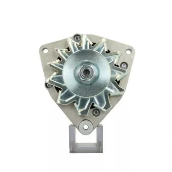 Alternateur BV PSH 215.025.055.311