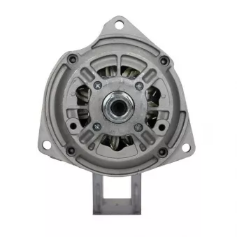 Alternateur BV PSH 215.503.060.010