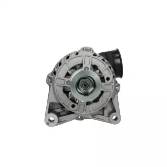 Alternateur BV PSH 215.513.090.000