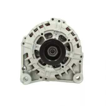 Alternateur BV PSH 215.516.120.500