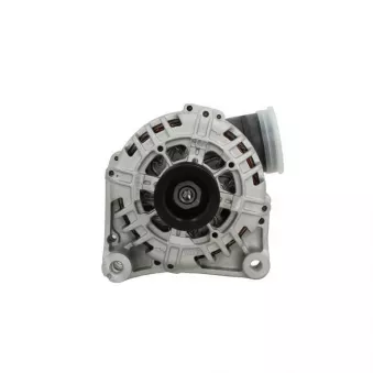 Alternateur BV PSH 215.525.120.500