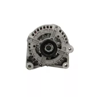 Alternateur BV PSH 215.528.120.019
