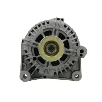 Alternateur BV PSH 215.534.150.505