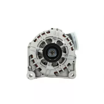Alternateur BV PSH 215.546.140.000