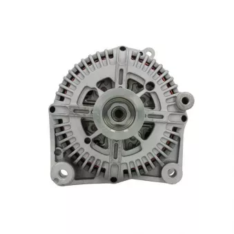 Alternateur BV PSH 215.554.170.004