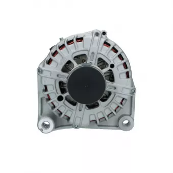 Alternateur BV PSH 215.566.220.008