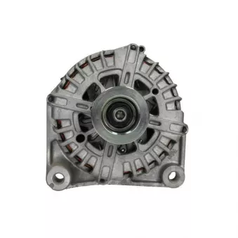 Alternateur BV PSH 215.566.220.500