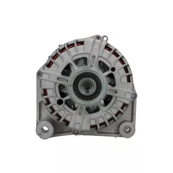 Alternateur BV PSH 215.567.220.000