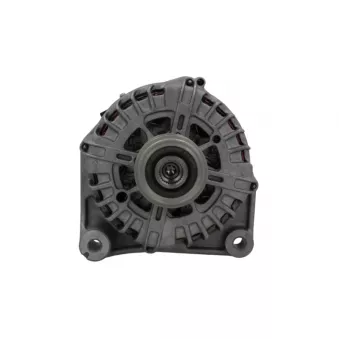 Alternateur BV PSH 215.567.220.500