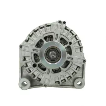 Alternateur BV PSH 215.581.220.500