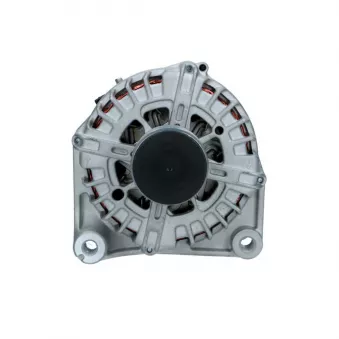Alternateur BV PSH 215.584.180.008