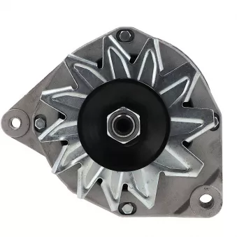 Alternateur BV PSH 225.002.055.008