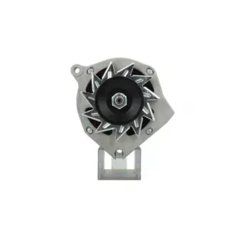 Alternateur BV PSH 225.008.080.000