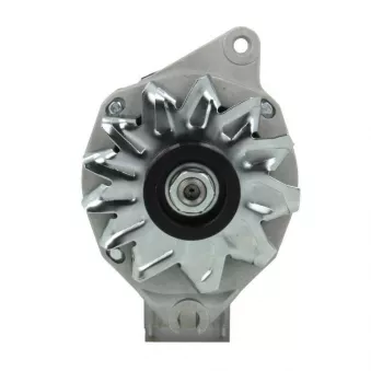 Alternateur BV PSH 225.010.070.001