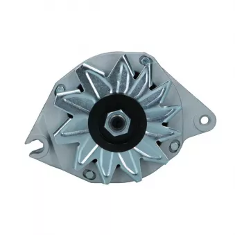 Alternateur BV PSH 225.010.070.008
