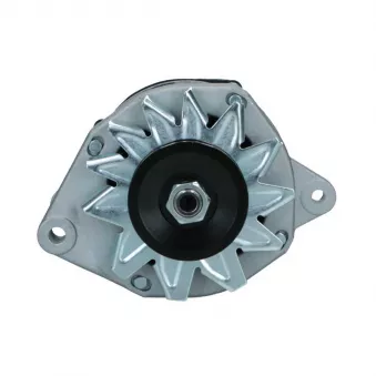 Alternateur BV PSH 225.012.050.008