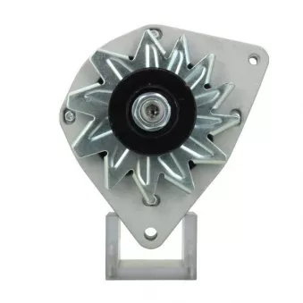 Alternateur BV PSH 225.015.070.000