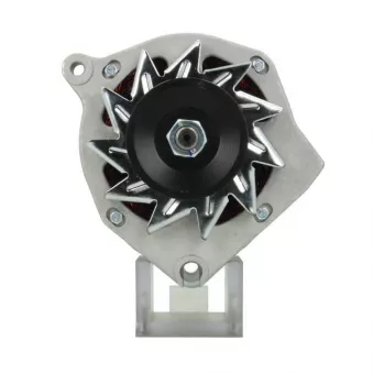 Alternateur BV PSH 225.022.070.000