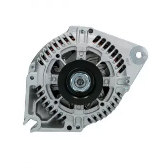 Alternateur BV PSH 225.510.095.008