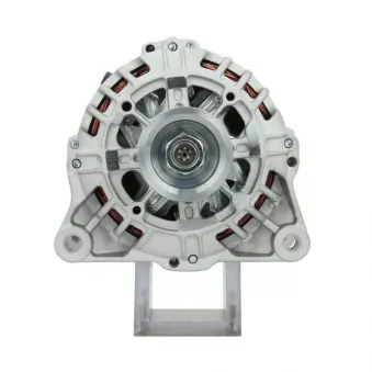 Alternateur BV PSH 225.519.080.000