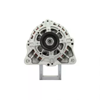 Alternateur BV PSH 225.519.090.501