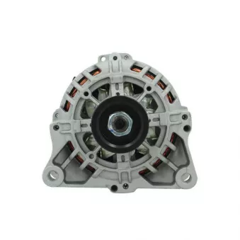 Alternateur BV PSH 225.520.070.000