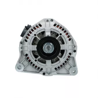 Alternateur BV PSH 225.520.080.008