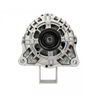 Alternateur BV PSH 225.520.080.500