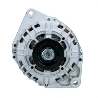 Alternateur BV PSH 225.532.120.008
