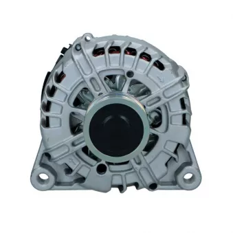 Alternateur BV PSH 225.548.150.009
