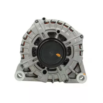 Alternateur BV PSH 225.556.220.500