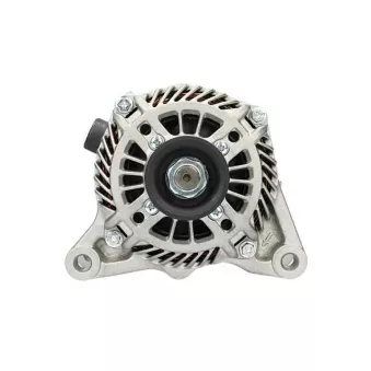 Alternateur BV PSH 225.568.080.415