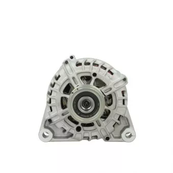 Alternateur BV PSH 225.571.150.500
