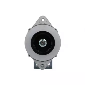 Alternateur BV PSH 236.504.080.030
