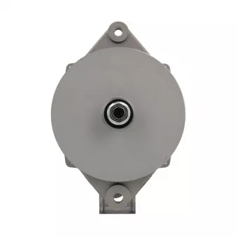Alternateur BV PSH 246.002.120.150