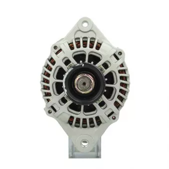 Alternateur BV PSH 255.502.070.415