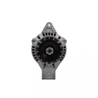 Alternateur BV PSH 255.504.050.000