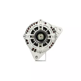 Alternateur BV PSH 255.505.110.415