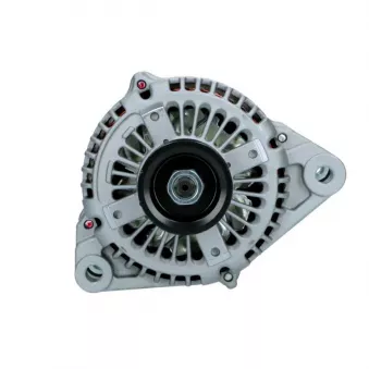 Alternateur BV PSH 255.512.130.008